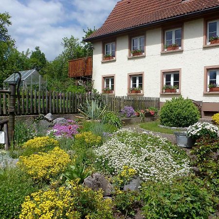 Apartment Rosa Mundelfingen Екстериор снимка